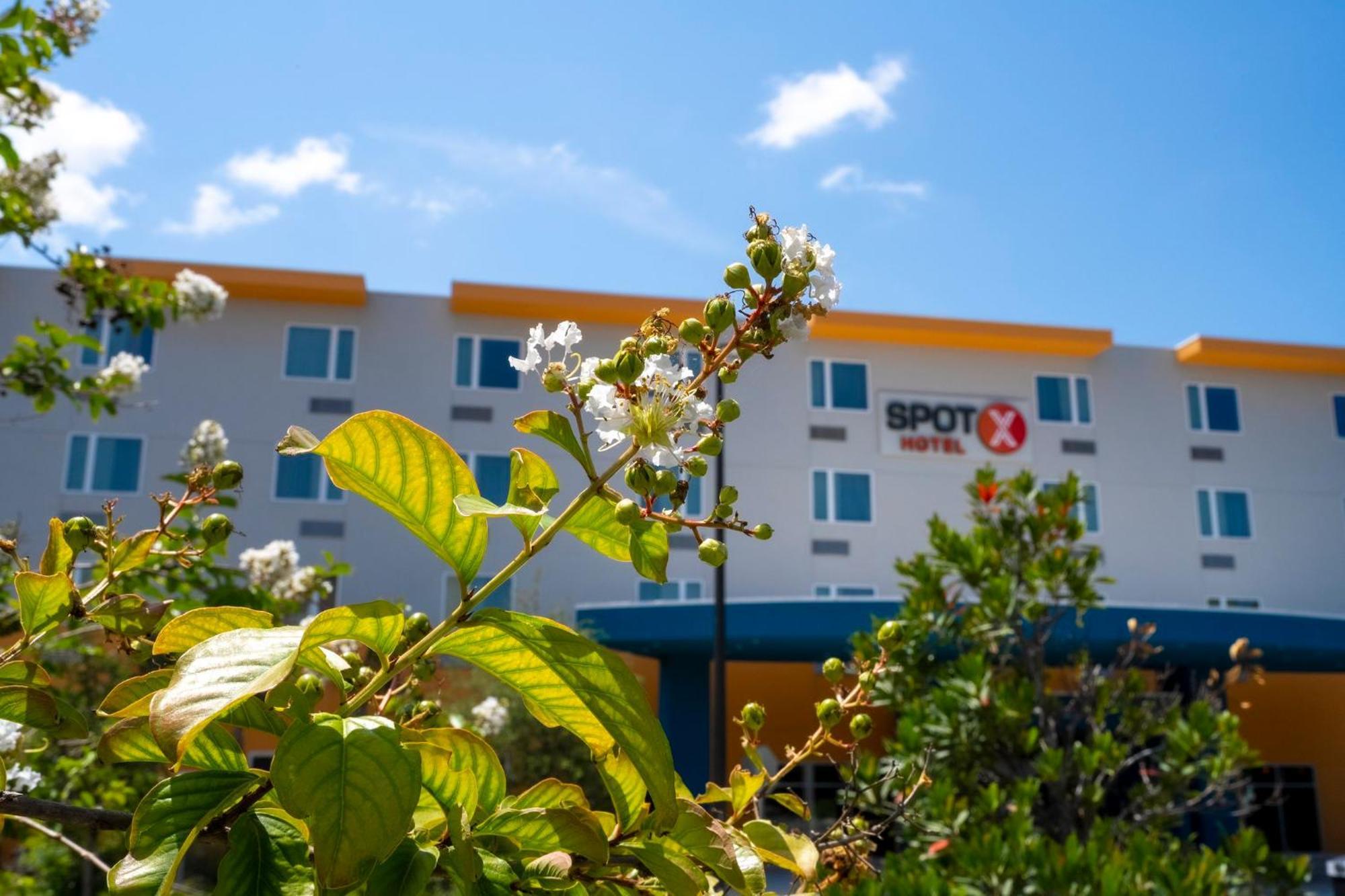 Spot X Hotel Orlando Intl Dr By The Red Collection Лейк-Буэна-Виста Экстерьер фото